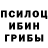 Псилоцибиновые грибы Magic Shrooms Rona Survival
