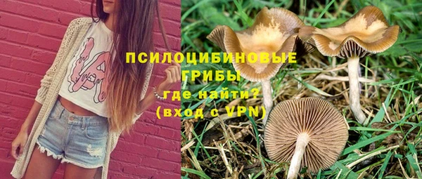 прущие крисы Балахна