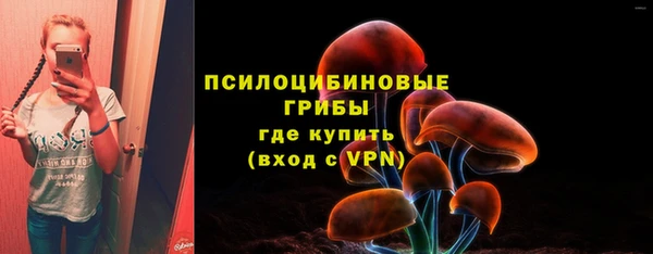 прущие крисы Балахна
