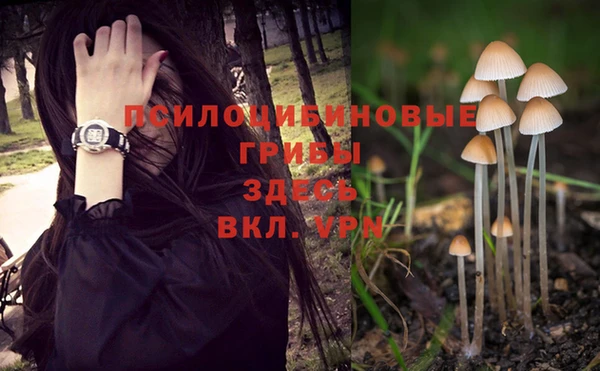 альфа пвп Баксан