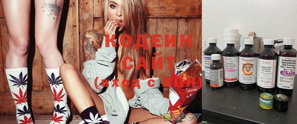 прущие крисы Балахна